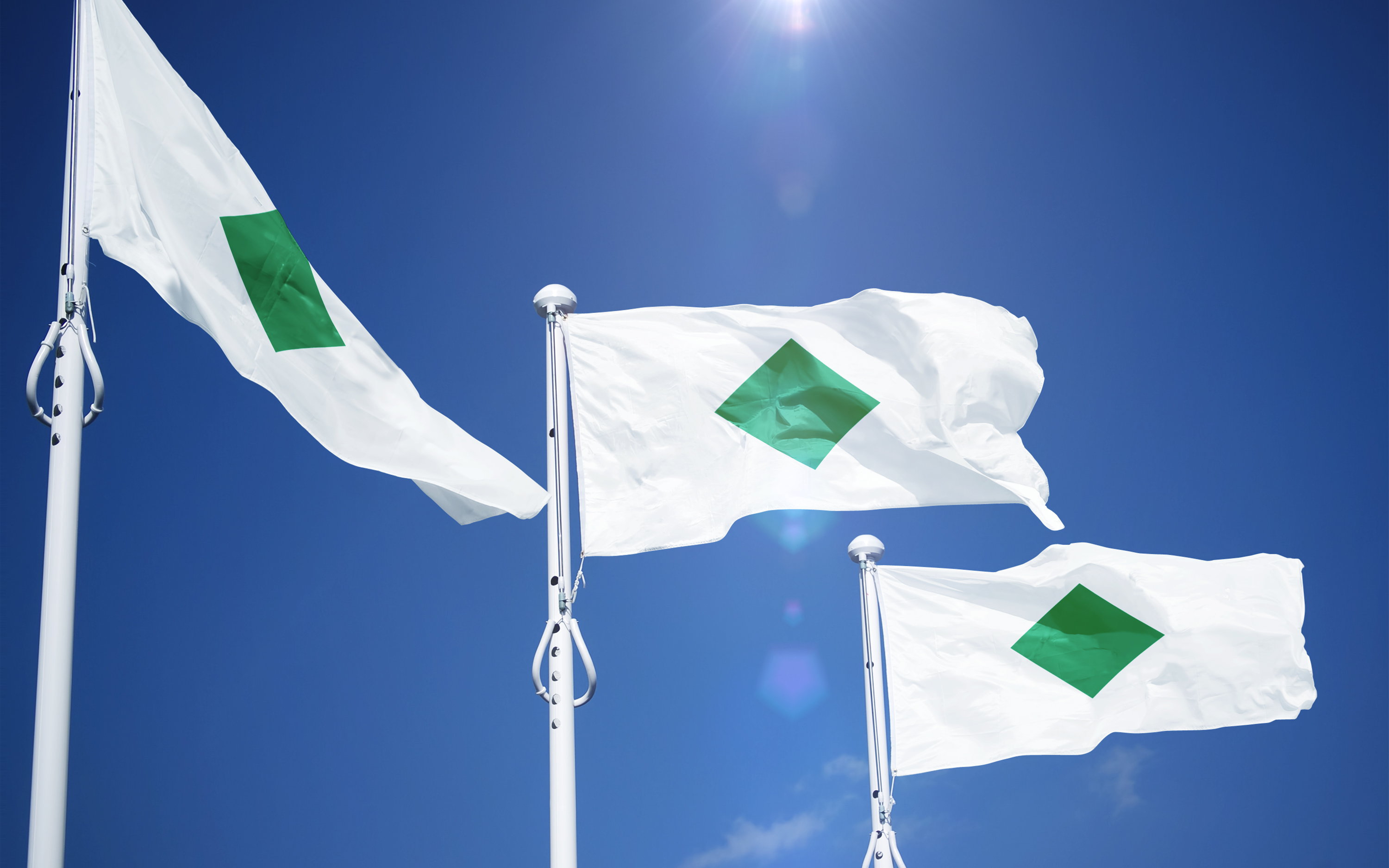 Photo of three Amestrian flags